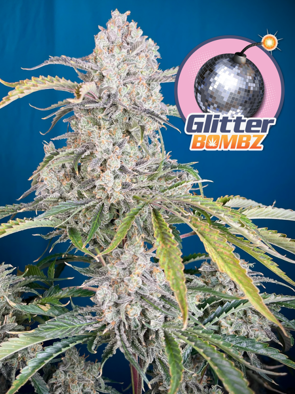 + Glitter Bombz (5+2 pack) - Image 2