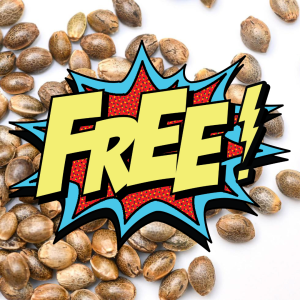 FREE SEEDS